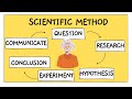 Solving the Mystery of the Soggy Sandwich Using the Scientific Method