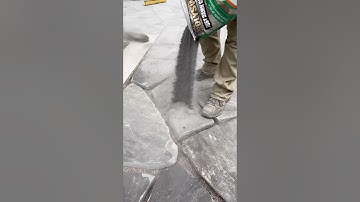 What do I put in between flagstone joints? #landscaping #hardscaping #hardscapetraining