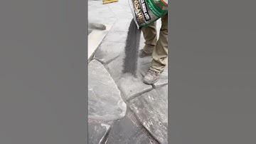 What do I put in between flagstone joints? #landscaping #hardscaping #hardscapetraining
