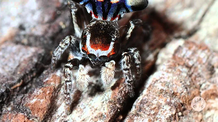 Citizen scientists give a biodiversity boost