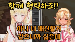 3기생 선정 가장 배신할 거 같은 홀로멤 【마인크래프트 | 오토노세 카나데 / 시라누이 후레아】