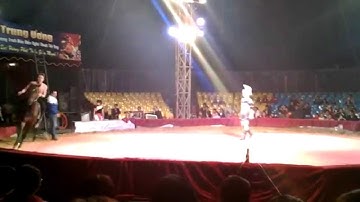 Xiếc cởi ngựa của đoàn xiếc TW