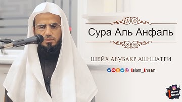 Абу Бакр Аш Шатри Сура Аль Анфаль  # 8 ❘ Abu Baker Al-Shatiri – Al-Anfal