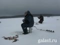 Супер рыбалка на Рыбинском Море. Окунь на балансир.