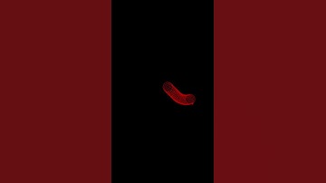 Infinity Loop in Python    python coding status 😍 #shorts #programming #pythoncoding #python mp4