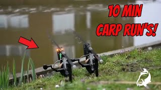 CARP RUN COMPILATION 2023! PART 38! (Special 10 Min Carp Run's - High Quality)