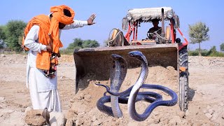 Snake Video Safdar Jogi Caught Two Dangerous Snake Black Cobra At Village Naag Jogi New Video