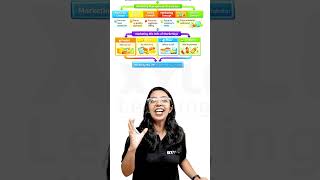 Plus Two Commerce Public Exam - Business Studies | Marketing In 1 Minute  | Xylem Plus Two Commerce