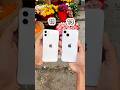 iPhone 11 Vs iPhone 13 || Camera Zoom Test! #shorts