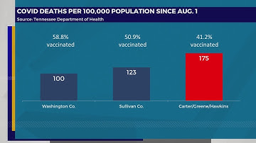 Data analysis: Much lower recent COVID death rates in area