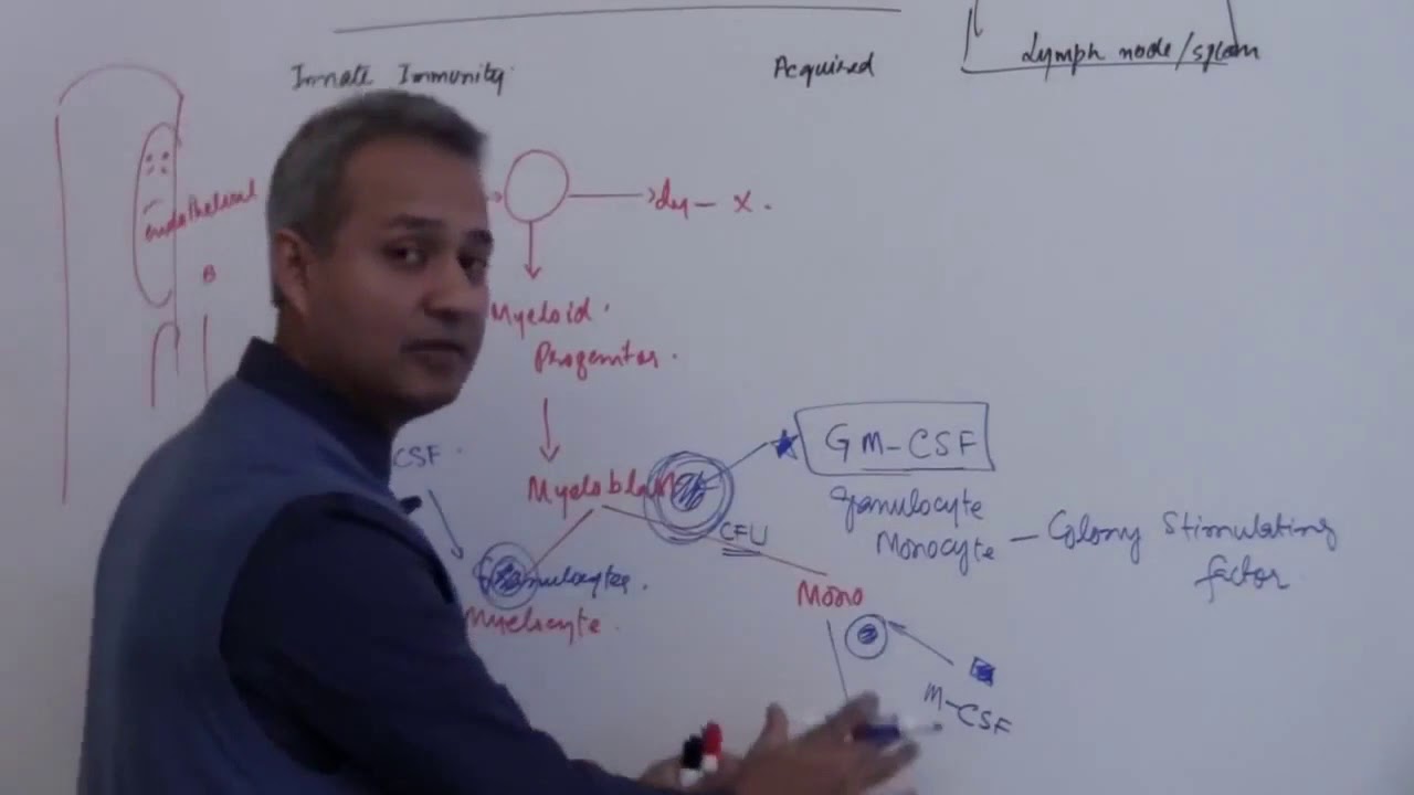 Role of Colony Stimulating Factors in Hematopoiesis