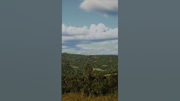 UNREAL ENGINE 5: New Zealand Rural Landscape #unrealengine