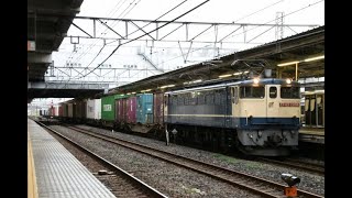 【Japan Railway】海上コンテナ輸送 ZG15C-2積載 白ONE 2個・Interasia・EVERGREEN・MAERSK・CAI積載 4072レ EF65 2096牽引