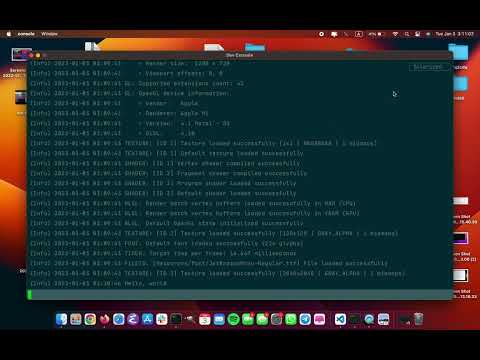 Super simple drop in dev console for your raylib game/engine.