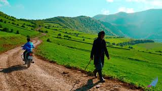 travel video - Minoodasht in Golestan province - Iran 4k    سفر به دره چهل چای استان گلستان Resimi