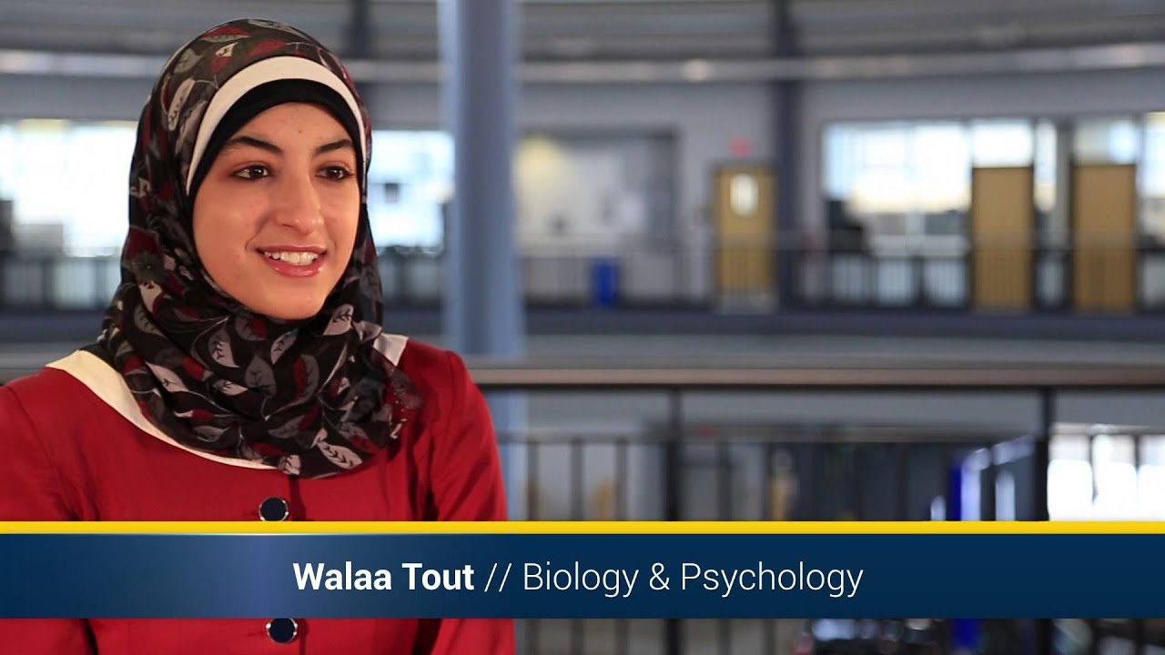 Academic Excellence UM Dearborn 2014 YouTube