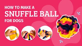 How to Make a Snuffle Ball for Dogs | Happy Paws Happy Hearts