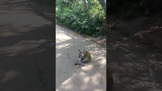 Bonta Park Kamla Nehru Park University