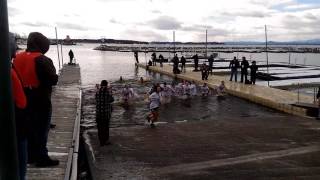 2017 Special Olympics Penguin Plunge