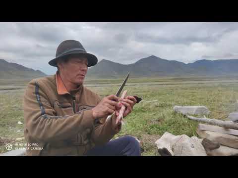 Родовая община "Кочевник"
