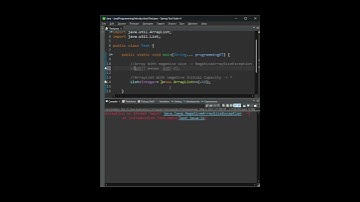 ArrayList with negative capacity #java #coding #programmingkt #corejava #javatutorial #dsa #trending