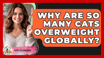Why Are So Many Cats Overweight Globally? - Happy Cat Handbook