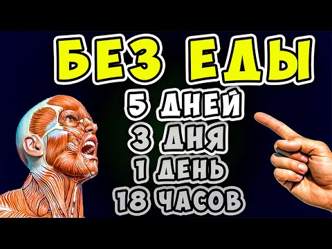 5 Дней БЕЗ ЕДЫ! Вот что ТВОРИТСЯ с Телом уже через 18 часов...