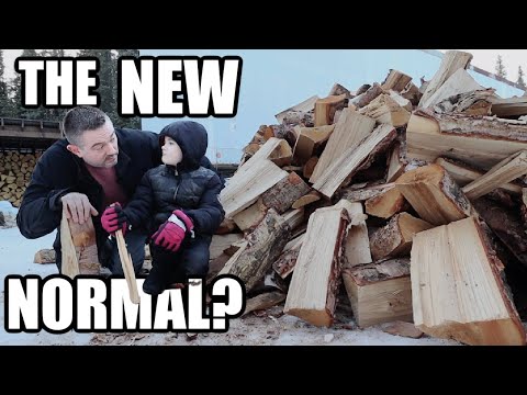 THE NEW NORMAL? | WILL WE MAKE IT?| Somers In Alaska