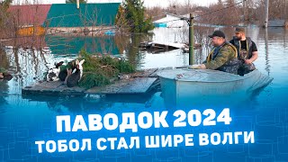 Паводок 2024: Тобол стал шире Волги. Наводнение Курган Ялуторовск Тобольск Кустанай