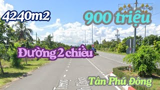 MS2020: 900 triệu, 4240m2 trục đường trung tâm hành chính xã Tân Phú Đông 