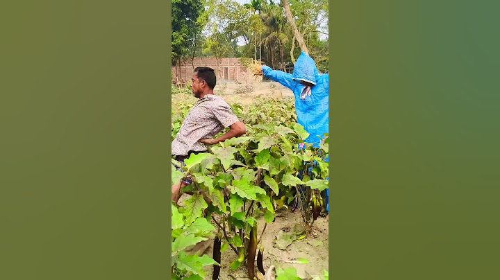 Đã bảo game này dễ rồi mà [BEN EAGLE] #beneagle #training #kungfu #martialarts #funny #shorts