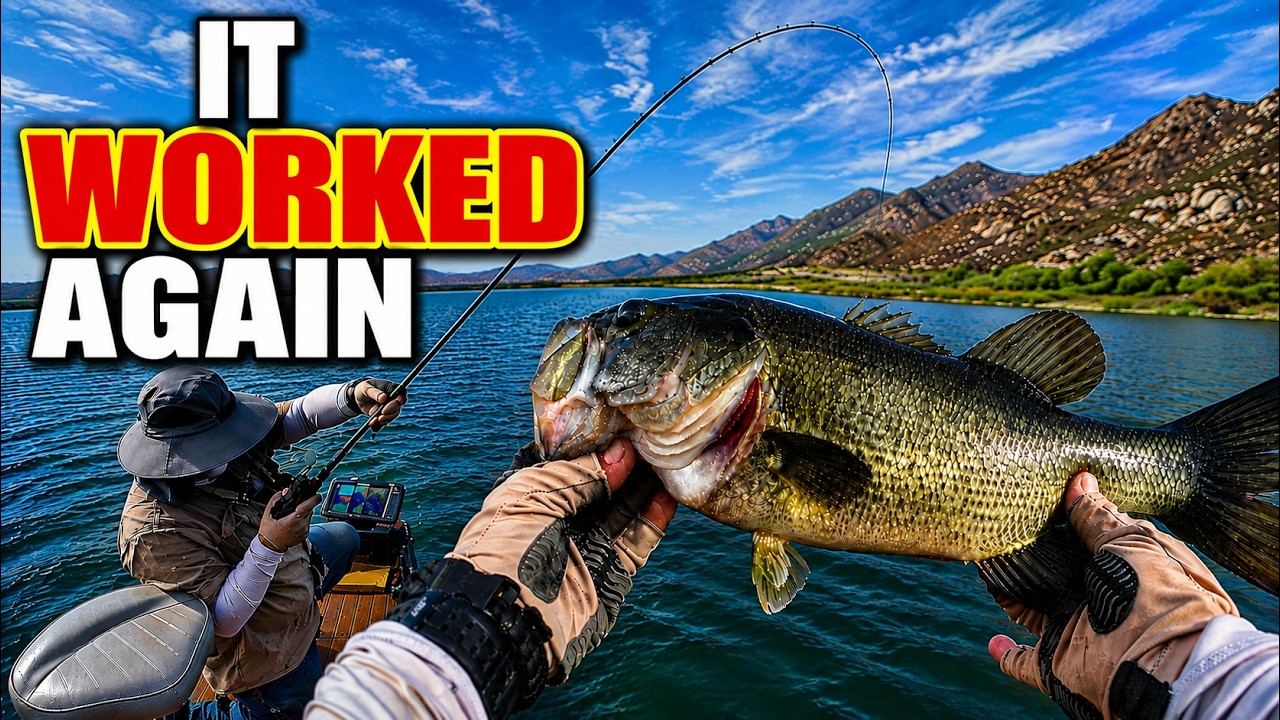 Lake Perris Bass Fishing: The Deeper Bite Is Producing Better Fish