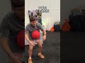 50 YouTube legends doing the Mannequin Challenge #MotrinPartner #PaidPartner #MrBeast #Mannequin