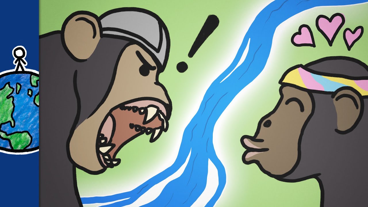 How This River Made Chimps Violent