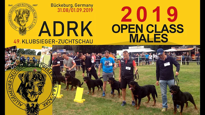 ADRK Klubsieger Zuchtschau 2019 - Open Class Males