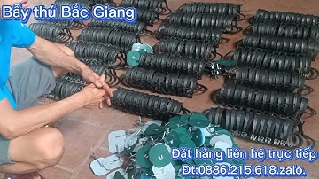 Mẫu cạm bẫy chồn cầy cáo mèo thú rừng loại 14cm và 16cm được các bác lựa chọn nhiều nhất.