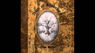 Video thumbnail of "08 Forgotten Memory - Zakk Wylde (Book of Shadows II - 2016)"