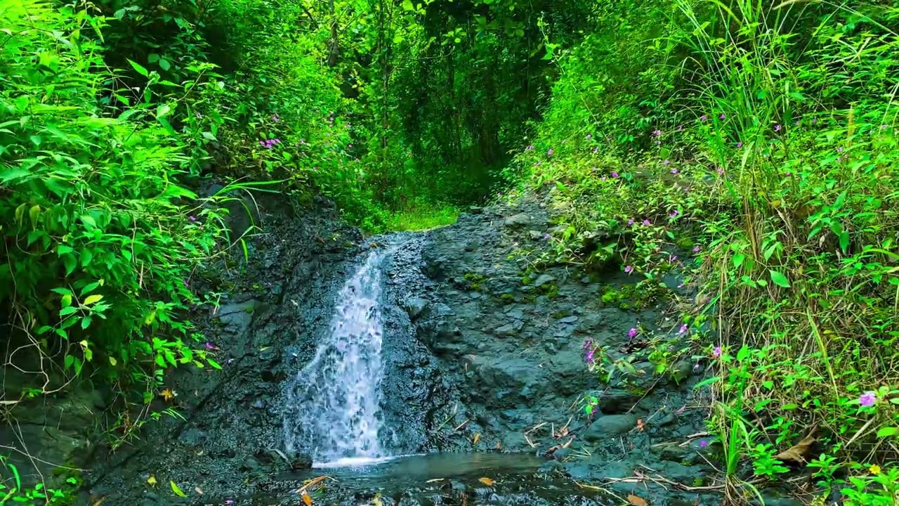 Pure Mountain Stream ASMR🍃 | High-Quality Nature Sounds (No Music) 