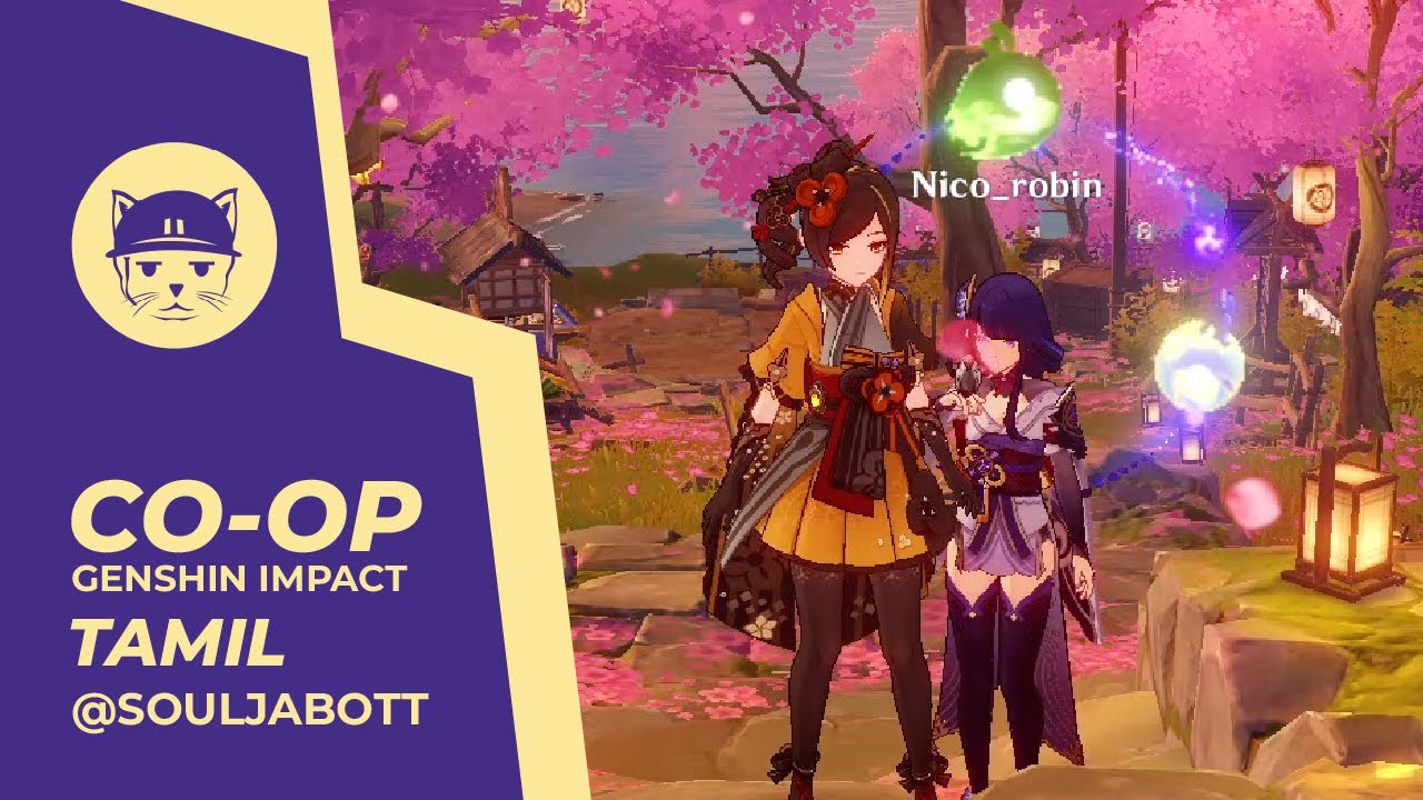 Co-op | Genshin Impact | Soulja Bott