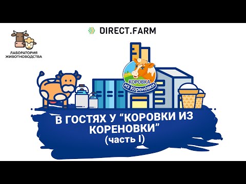 Производство мороженого Коровка из Кореновки. Переработка коровьего молока -Часть 1