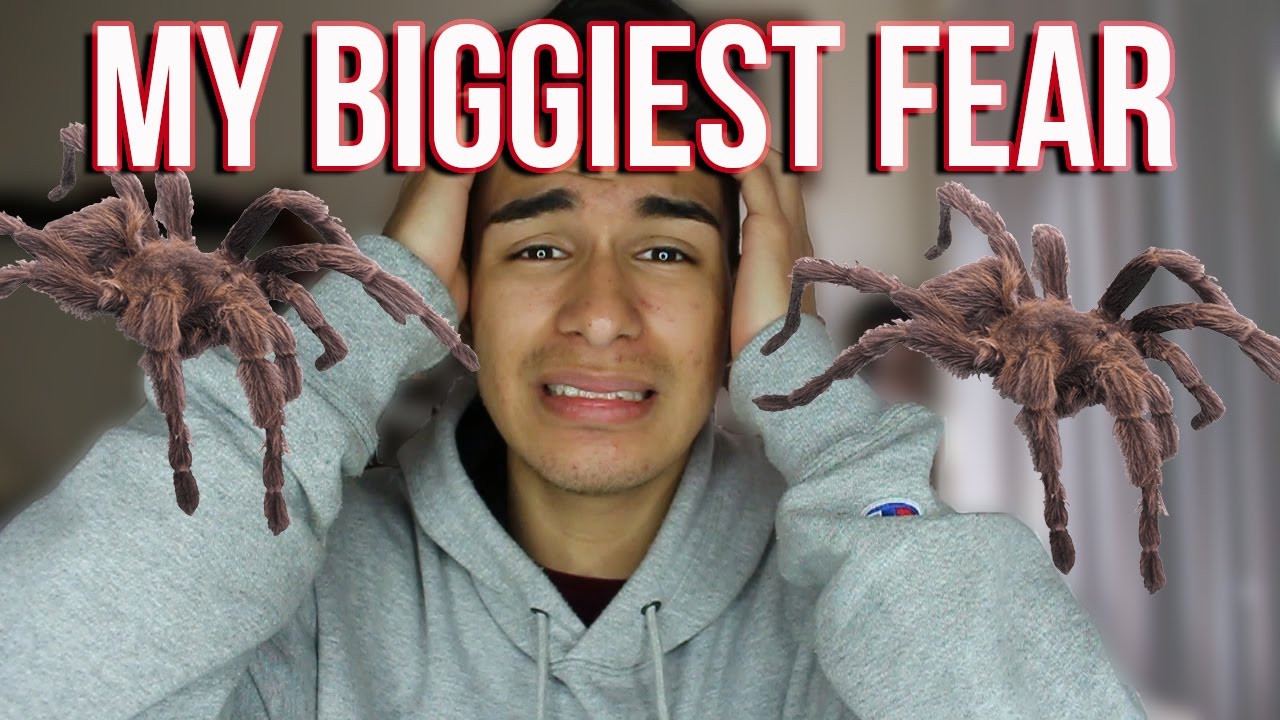 My Biggiest fear !!! First Q&A