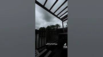 ربما تشتاق يوما الذي زرع المحبو وختفى 