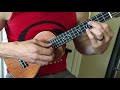 “The Ascension/Take Flight” - Ukulele Solo by Brian Nelson (Cordoba 25CK)
