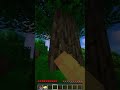 MINECRAFT MA... IL LEGNO È OP