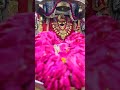 kavana Rahe gailu a mi karuna sevaka#sorts #youtube #jay #माता दी #viralvideo #song