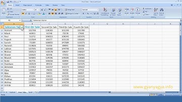 Part 34MS Excel 2007 in Hindi   Urdu   How to use Format Painter   35