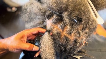 Instant Quick Grey Locs with the Dreadlock Machine #dreadlockmachine #locextensions #locstyles