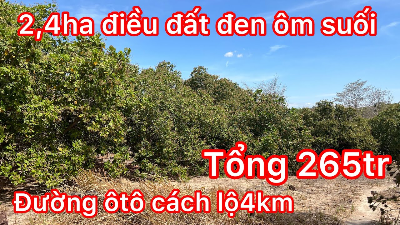 Vẫn còn xót lô đất rẻ 2,4ha cần chuyển nhượng giá tổng cho lô đất chỉ co 265tr còn thương lượng 