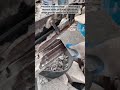 Manual Stone Guillotine Cutting | Processing Thin Granite Veneer