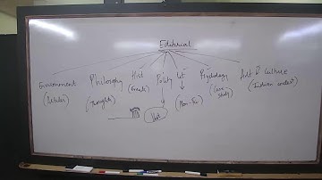 NRL26 -  LPT  FOUNDATION ENG JKS  20/12/2025